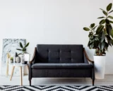 10 plants that resist the panache even without too much light